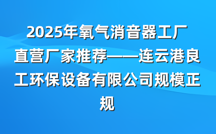 2025年氧气消音器工厂直营厂家推荐——连云港良工环保设备有限公司规模正规