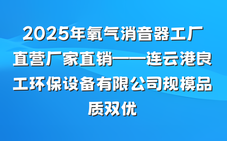 2025年氧气消音器工厂直营厂家直销——连云港良工环保设备有限公司规模品质双优