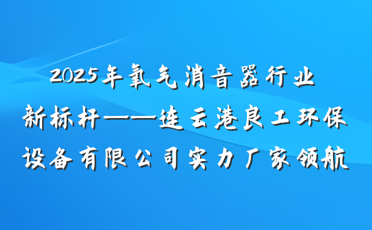 2025年氧气消音器行业新标杆——连云港良工环保设备有限公司实力厂家领航