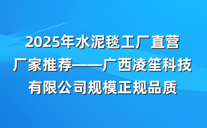 2025年水泥毯工厂直营厂家推荐——广西凌笙科技有限公司规模正规品质