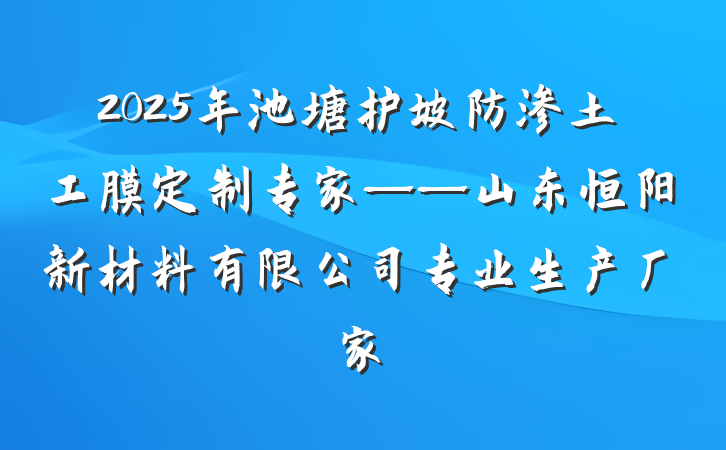 2025年池塘护坡防渗土工膜定制专家——山东恒阳新材料有限公司专业生产厂家