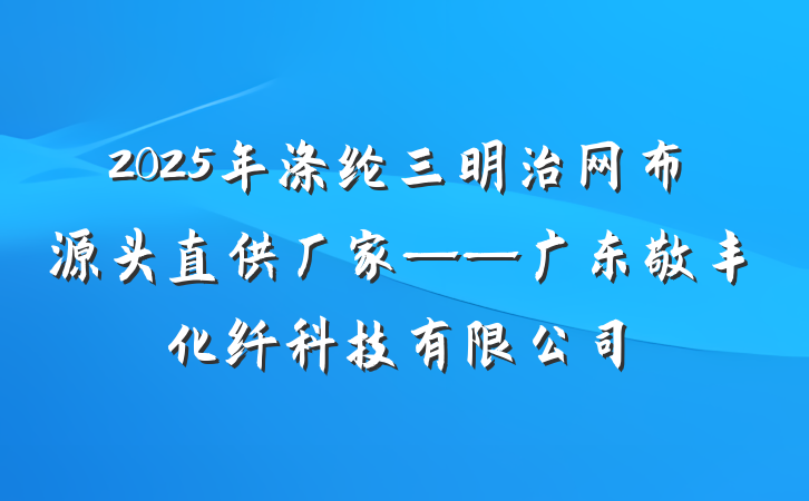 2025年涤纶三明治网布源头直供厂家——广东敬丰化纤科技有限公司