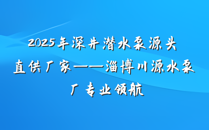 2025年深井潜水泵源头直供厂家——淄博川源水泵厂专业领航