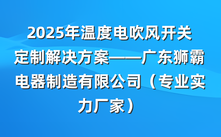 2025年温度电吹风开关定制解决方案——广东狮霸电器制造有限公司（专业实力厂家）