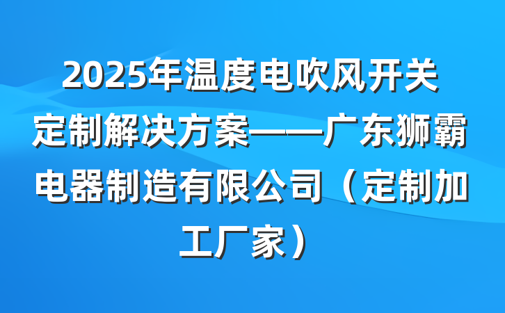 2025年温度电吹风开关定制解决方案——广东狮霸电器制造有限公司(定制加工厂家)
