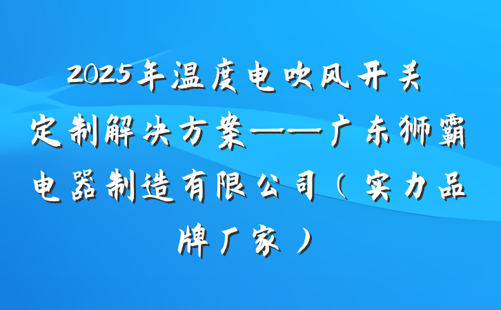 2025年温度电吹风开关定制解决方案——广东狮霸电器制造有限公司（实力品牌厂家）