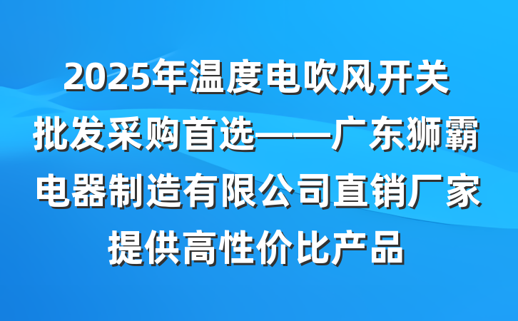 2025年温度电吹风开关批发采购首选——广东狮霸电器制造有限公司直销厂家提供高性价比产品