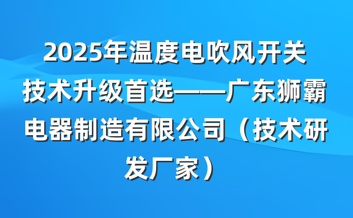2025年温度电吹风开关技术升级首选——广东狮霸电器制造有限公司（技术研发厂家）