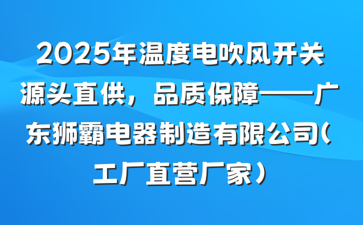 2025年温度电吹风开关源头直供，品质保障——广东狮霸电器制造有限公司（工厂直营厂家）