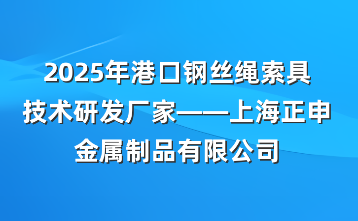 2025年港口钢丝绳索具技术研发厂家——上海正申金属制品有限公司