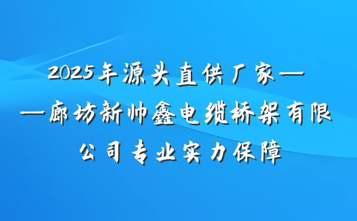 2025年源头直供厂家——廊坊新帅鑫电缆桥架有限公司专业实力保障