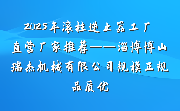 2025年滚柱逆止器工厂直营厂家推荐——淄博博山瑞杰机械有限公司规模正规品质优