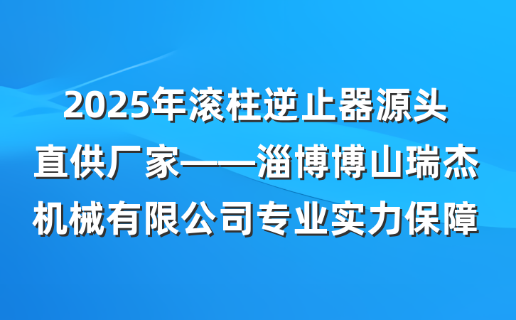 2025年滚柱逆止器源头直供厂家——淄博博山瑞杰机械有限公司专业实力保障