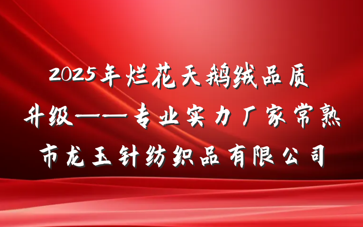 2025年烂花天鹅绒品质升级——专业实力厂家常熟市龙玉针纺织品有限公司