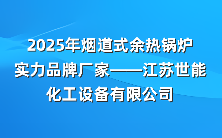 2025年烟道式余热锅炉实力品牌厂家——江苏世能化工设备有限公司