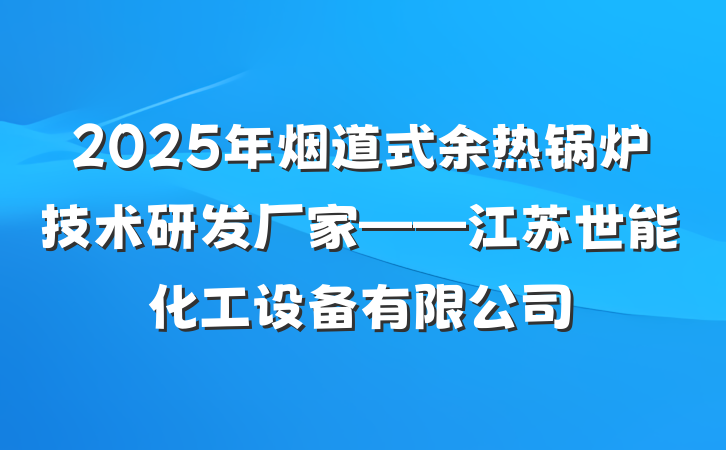 2025年烟道式余热锅炉技术研发厂家——江苏世能化工设备有限公司