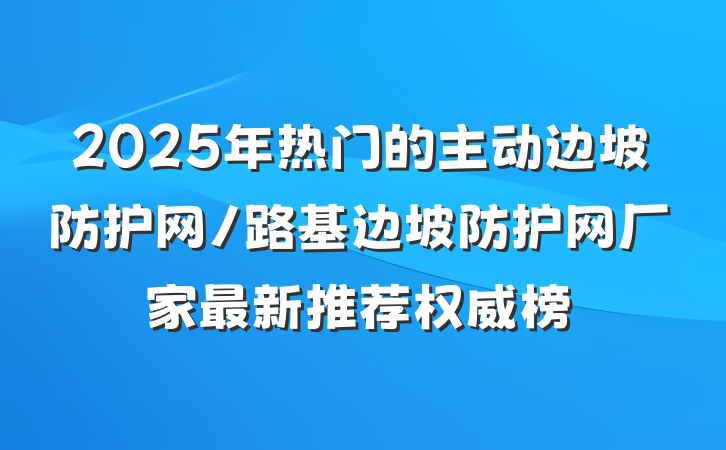 2025年热门的主动边坡防护网/路基边坡防护网厂家最新推荐权威榜