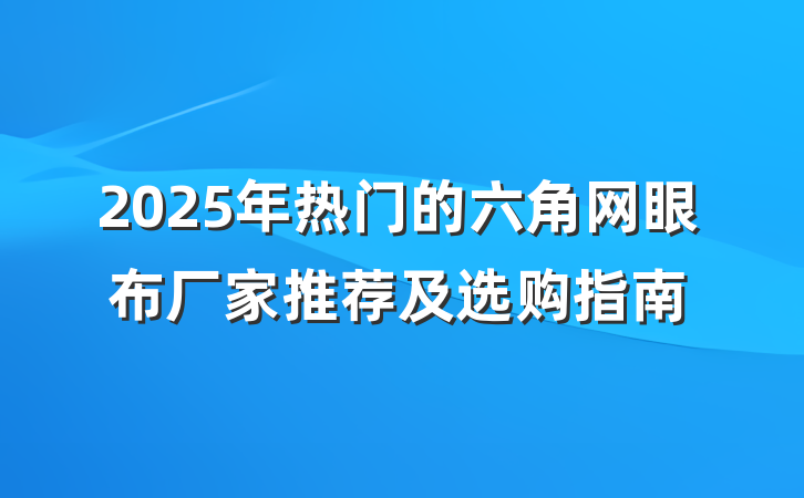 2025年热门的六角网眼布厂家推荐及选购指南