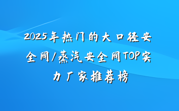 2025年热门的大口径安全阀/蒸汽安全阀TOP实力厂家推荐榜