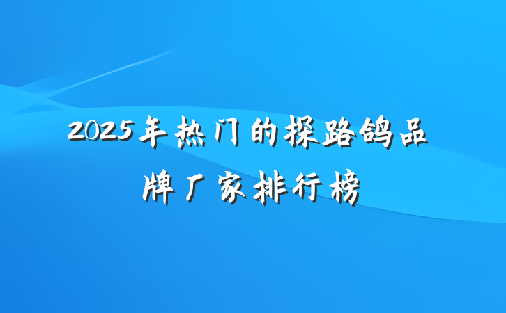 2025年热门的探路鸽品牌厂家排行榜