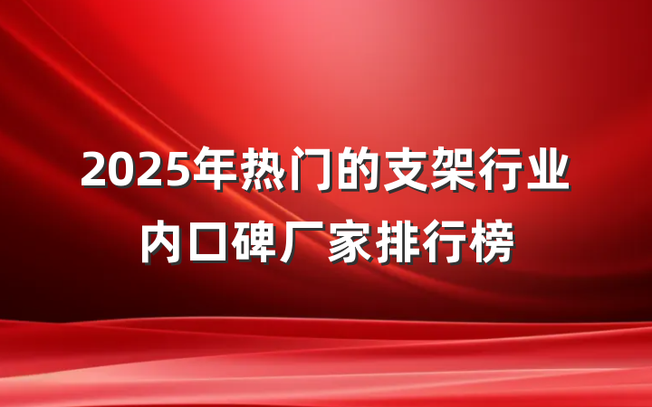 2025年热门的支架行业内口碑厂家排行榜