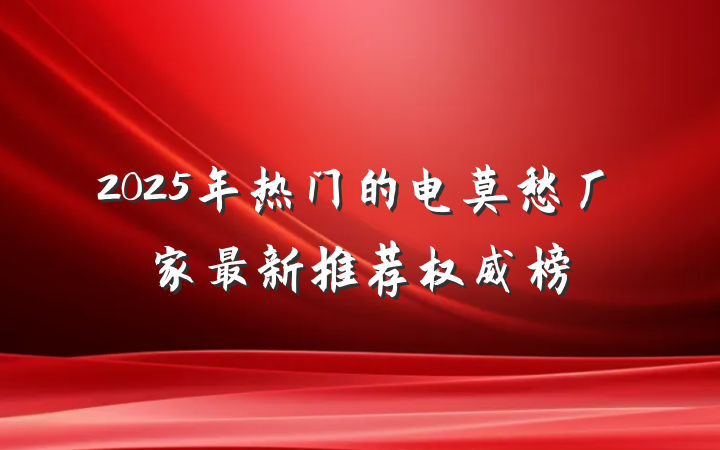 2025年热门的电莫愁厂家最新推荐权威榜