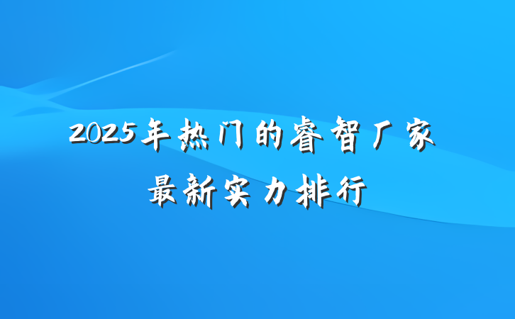 2025年热门的睿智厂家最新实力排行