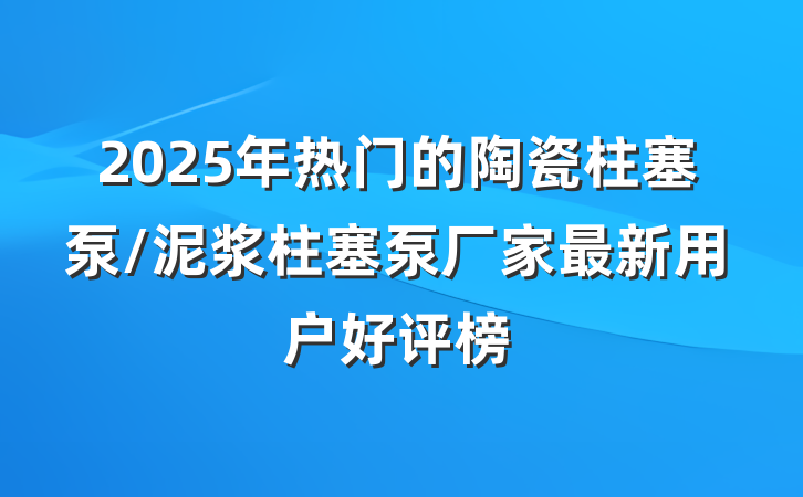 2025年热门的陶瓷柱塞泵/泥浆柱塞泵厂家最新用户好评榜