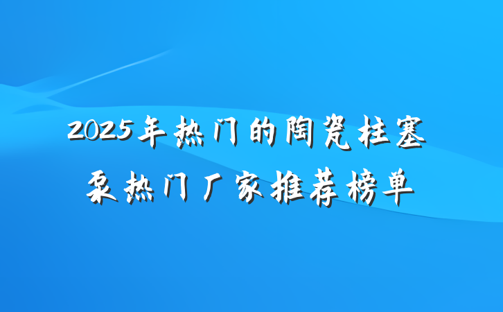 2025年热门的陶瓷柱塞泵热门厂家推荐榜单