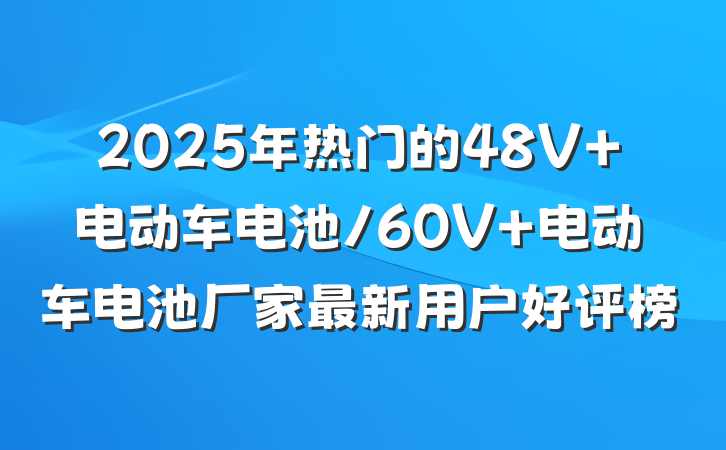 2025年热门的48V 电动车电池/60V 电动车电池厂家最新用户好评榜