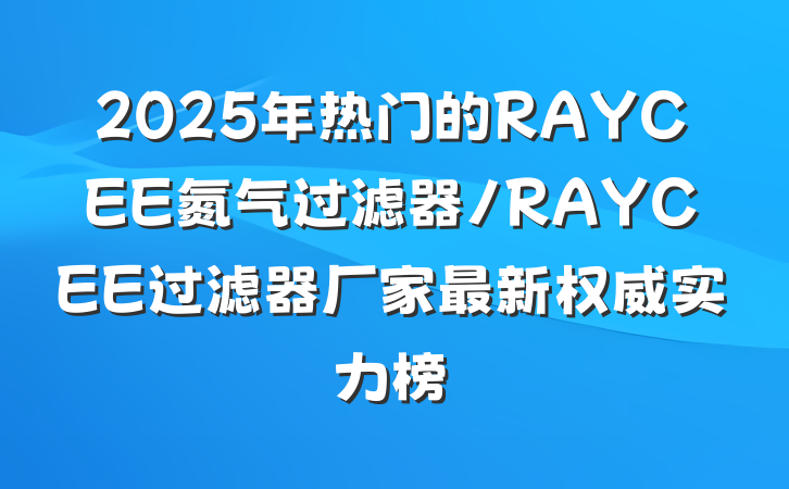 2025年热门的RAYCEE氮气过滤器/RAYCEE过滤器厂家最新权威实力榜