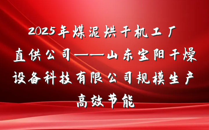 2025年煤泥烘干机工厂直供公司——山东宝阳干燥设备科技有限公司规模生产高效节能