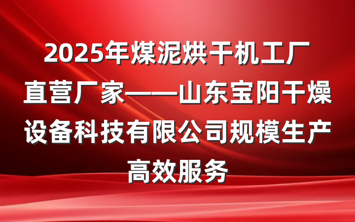 2025年煤泥烘干机工厂直营厂家——山东宝阳干燥设备科技有限公司规模生产高效服务