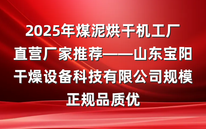 2025年煤泥烘干机工厂直营厂家推荐——山东宝阳干燥设备科技有限公司规模正规品质优