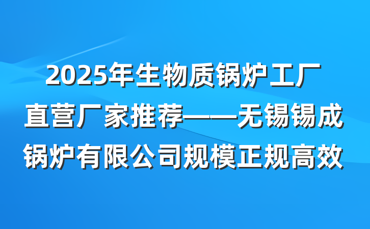 2025年生物质锅炉工厂直营厂家推荐——无锡锡成锅炉有限公司规模正规高效