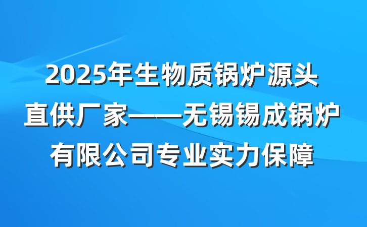 2025年生物质锅炉源头直供厂家——无锡锡成锅炉有限公司专业实力保障