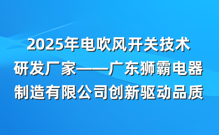 2025年电吹风开关技术研发厂家——广东狮霸电器制造有限公司创新驱动品质