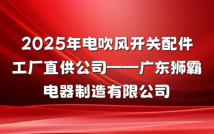 2025年电吹风开关配件工厂直供公司——广东狮霸电器制造有限公司