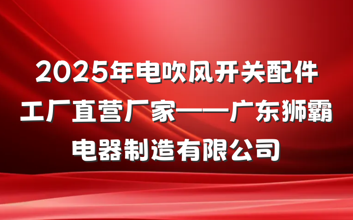 2025年电吹风开关配件工厂直营厂家——广东狮霸电器制造有限公司