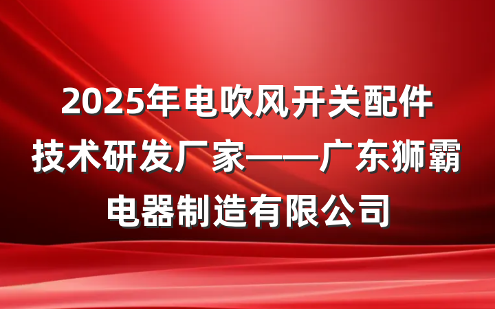 2025年电吹风开关配件技术研发厂家——广东狮霸电器制造有限公司