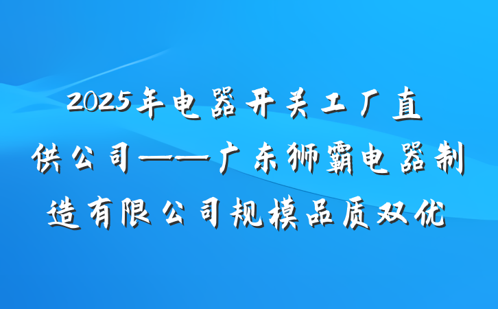 2025年电器开关工厂直供公司——广东狮霸电器制造有限公司规模品质双优