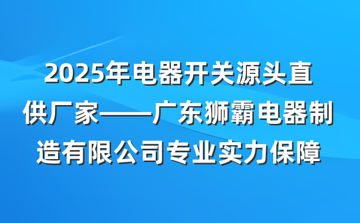2025年电器开关源头直供厂家——广东狮霸电器制造有限公司专业实力保障