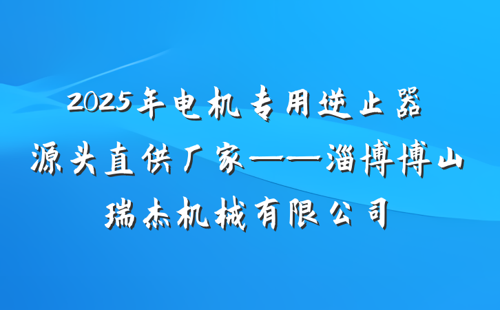 2025年电机专用逆止器源头直供厂家——淄博博山瑞杰机械有限公司