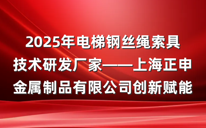2025年电梯钢丝绳索具技术研发厂家——上海正申金属制品有限公司创新赋能