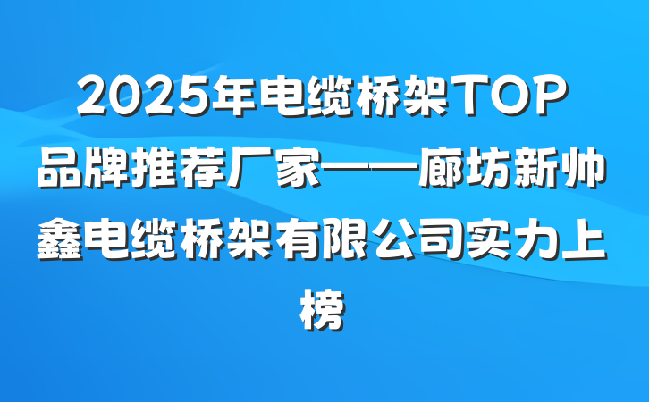 2025年电缆桥架TOP品牌推荐厂家——廊坊新帅鑫电缆桥架有限公司实力上榜
