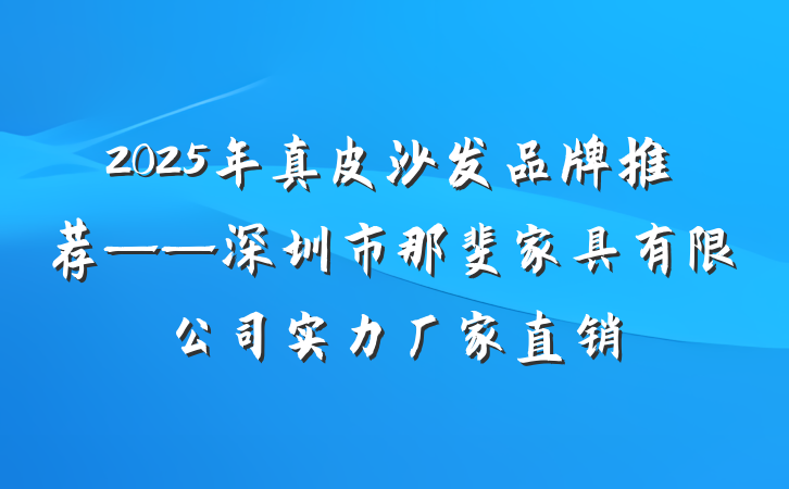 2025年真皮沙发品牌推荐——深圳市那斐家具有限公司实力厂家直销