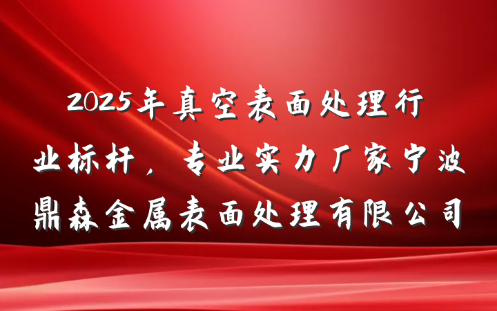 2025年真空表面处理行业标杆，专业实力厂家宁波鼎森金属表面处理有限公司