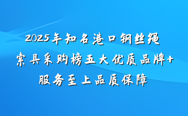2025年知名港口钢丝绳索具采购榜五大优质品牌 服务至上品质保障