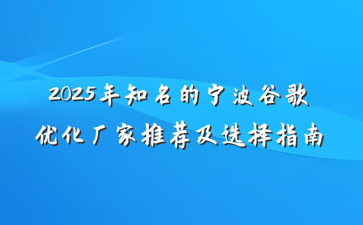 2025年知名的宁波谷歌优化厂家推荐及选择指南