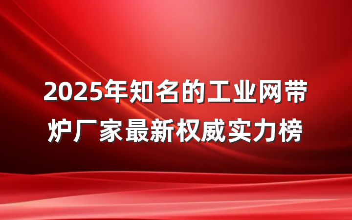 2025年知名的工业网带炉厂家最新权威实力榜